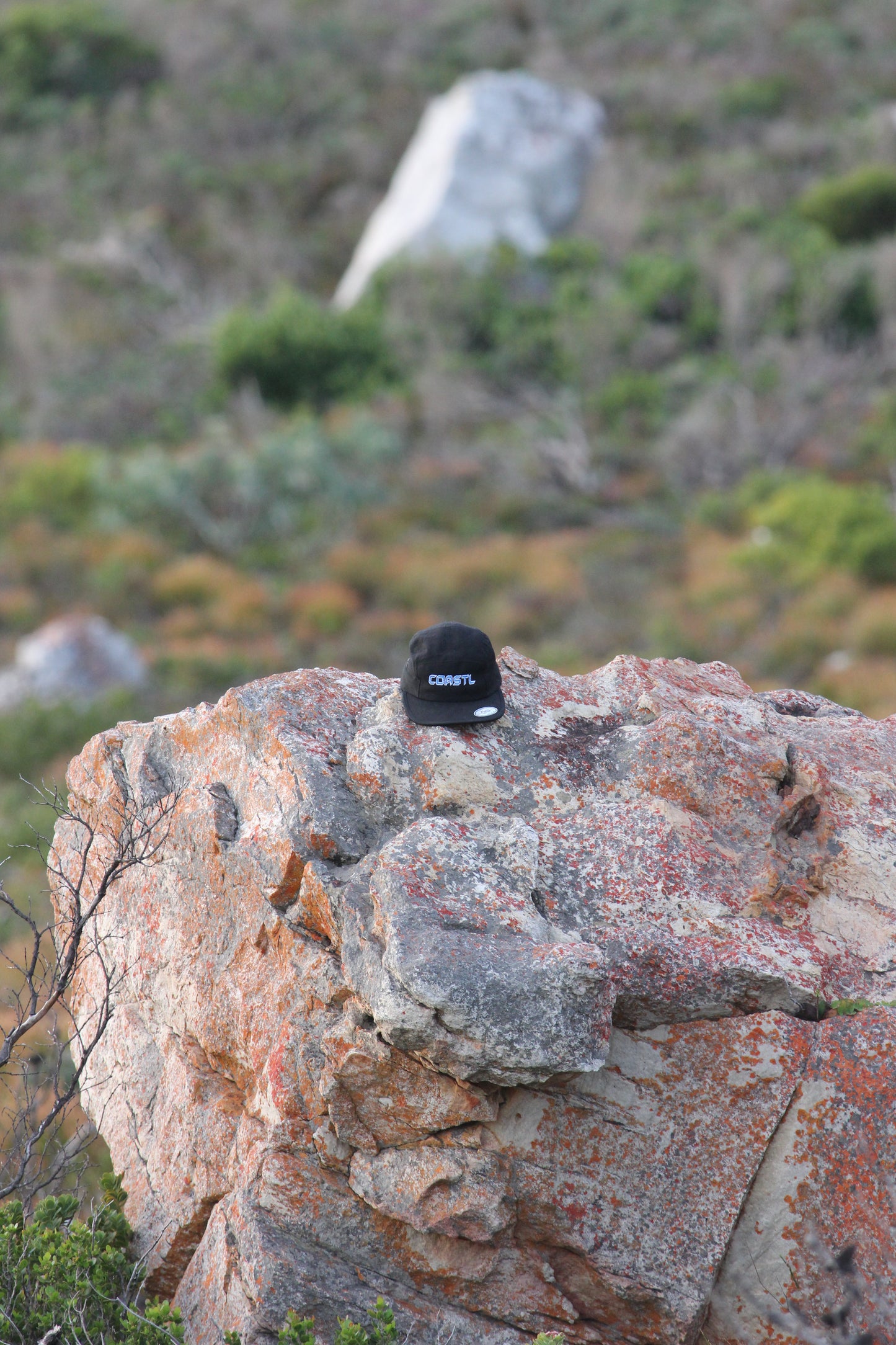Coastl Blue Snapback